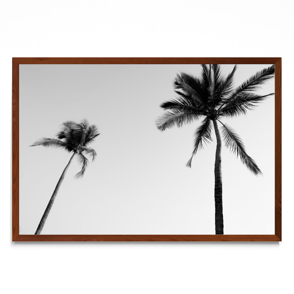 Sayulita Palms. Nayarit, México. - FotoH MO