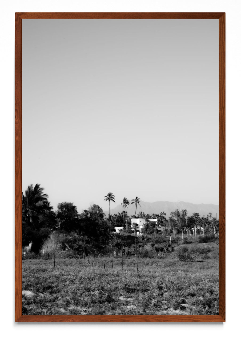 Todos Santos, Baja California Sur, México. - FotoV MO