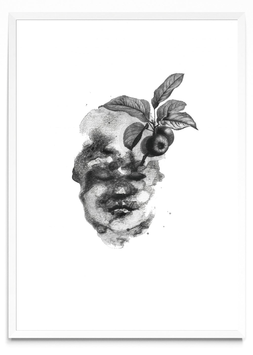 Fruto - Retrato BL