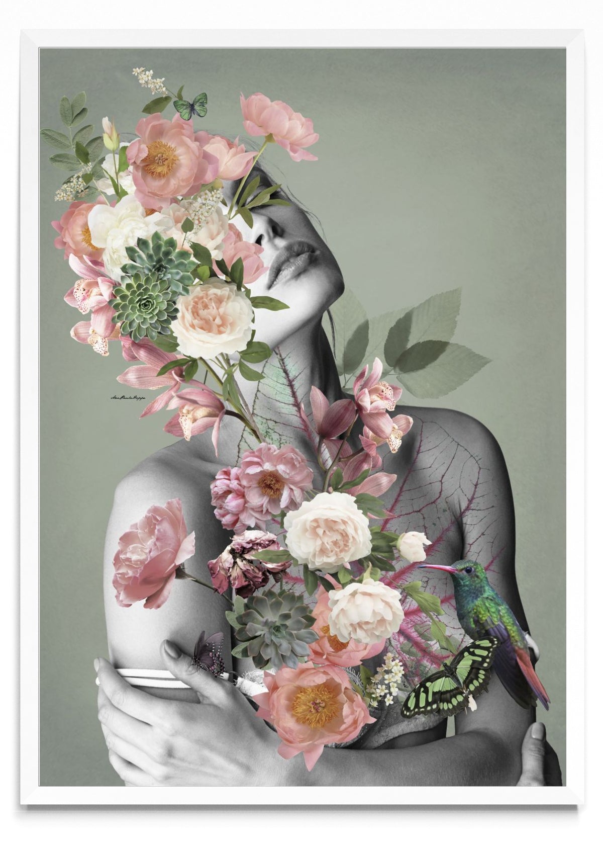 Celine - Retrato BL