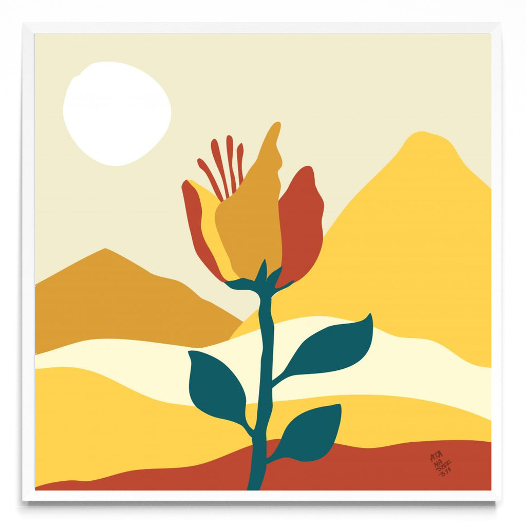 Flor en el valle - Cuadrado BL
