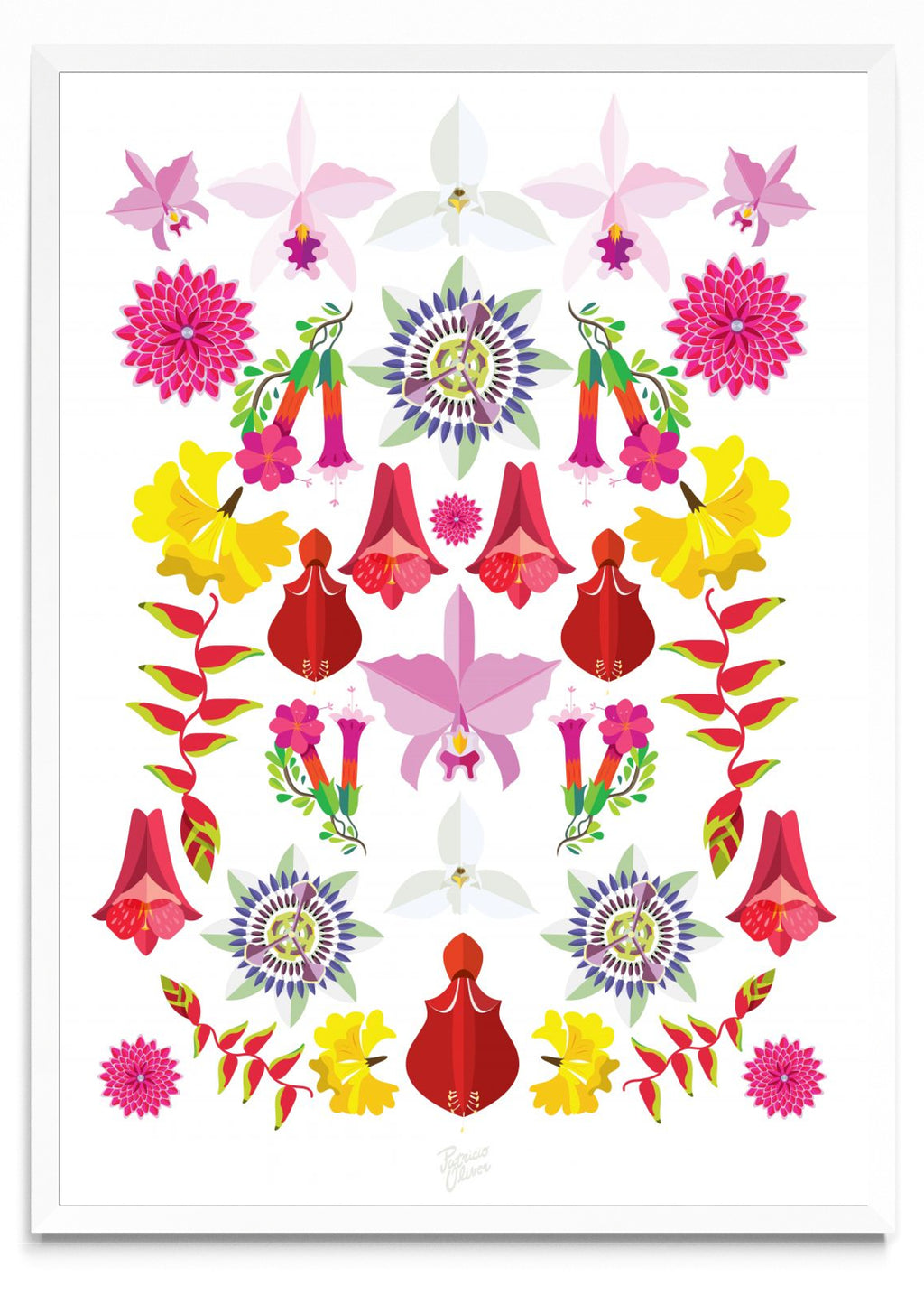 Flores Nacionales - Retrato BL