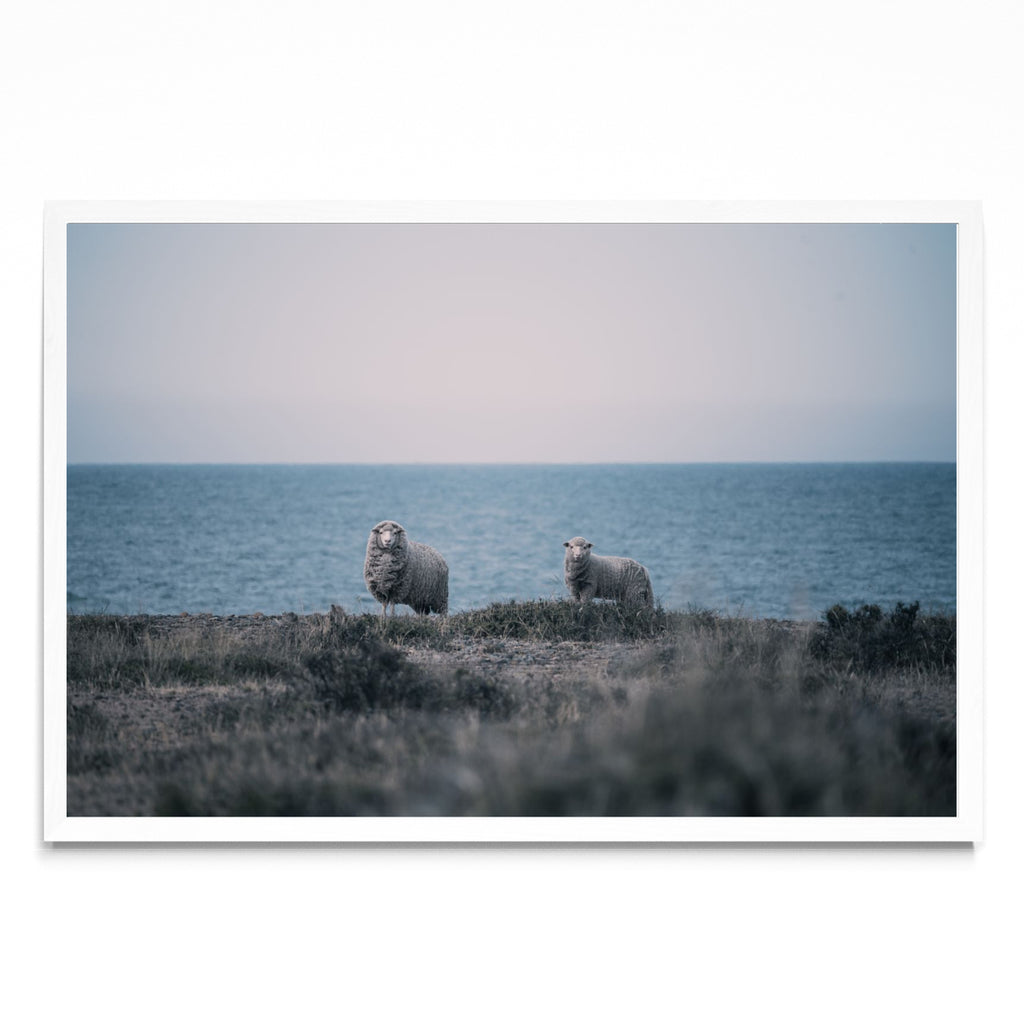 A la distancia - FotoH BL