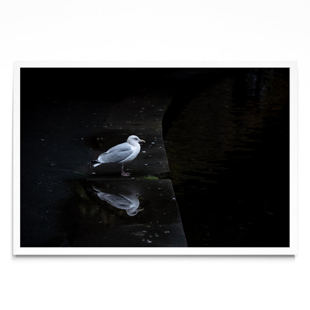 El pensamiento - FotoH BL