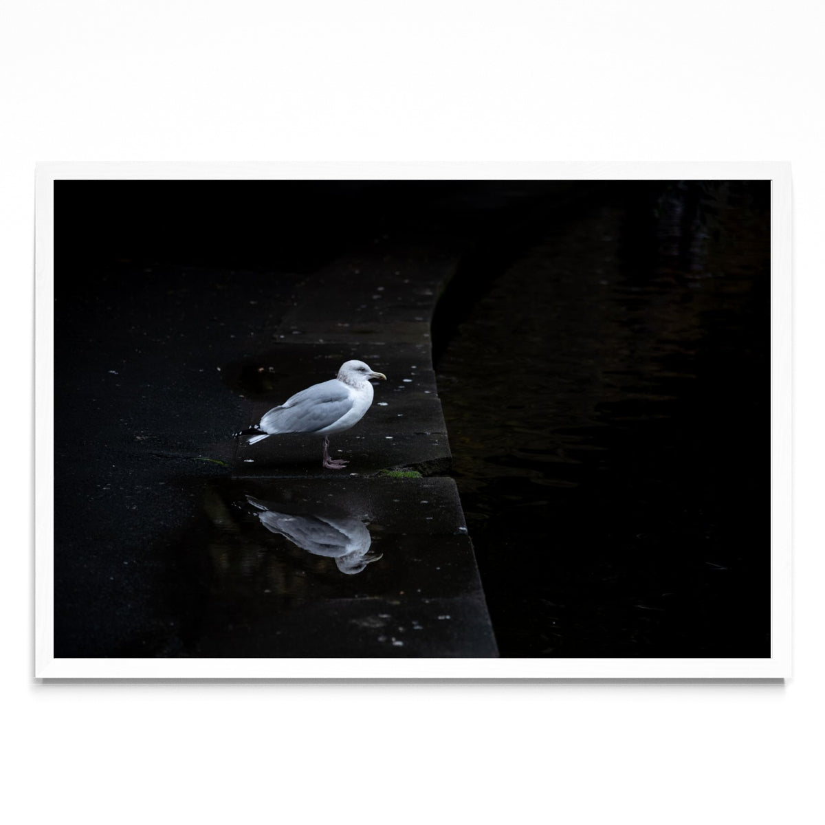 El pensamiento - FotoH BL