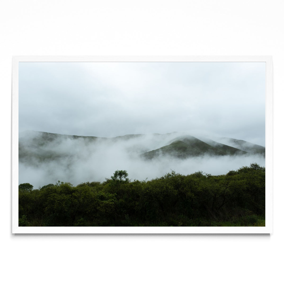 Nubes entre árboles - FotoH BL