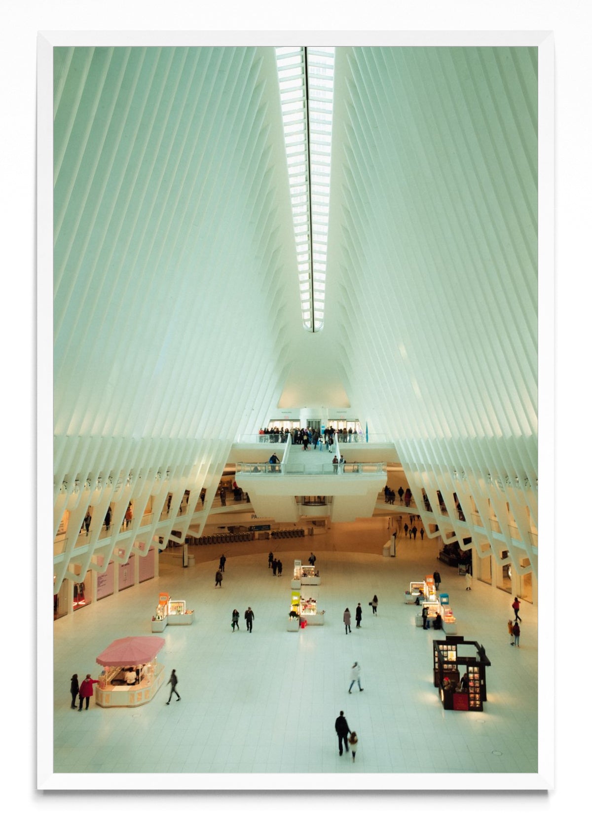 Oculus, NY - FotoV BL