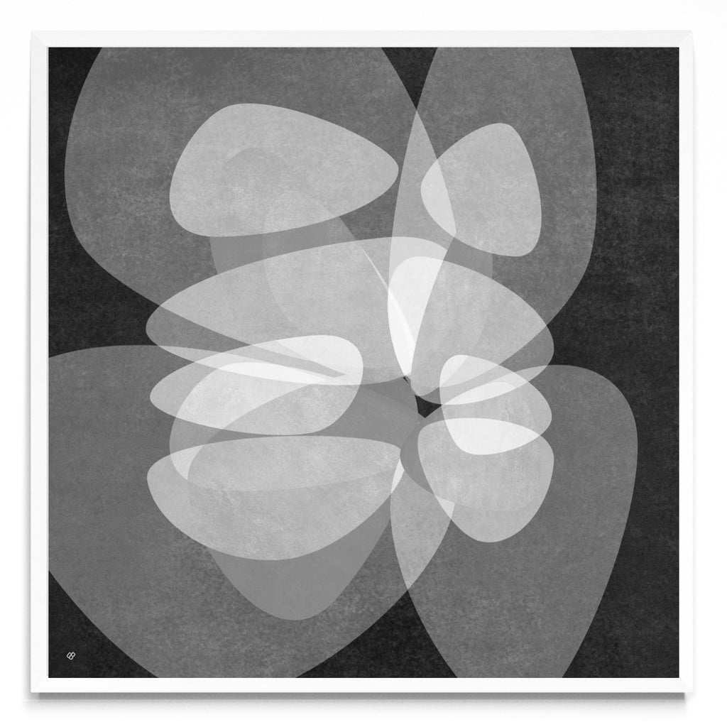 Diaphanous QK 4 - Cuadrado BL