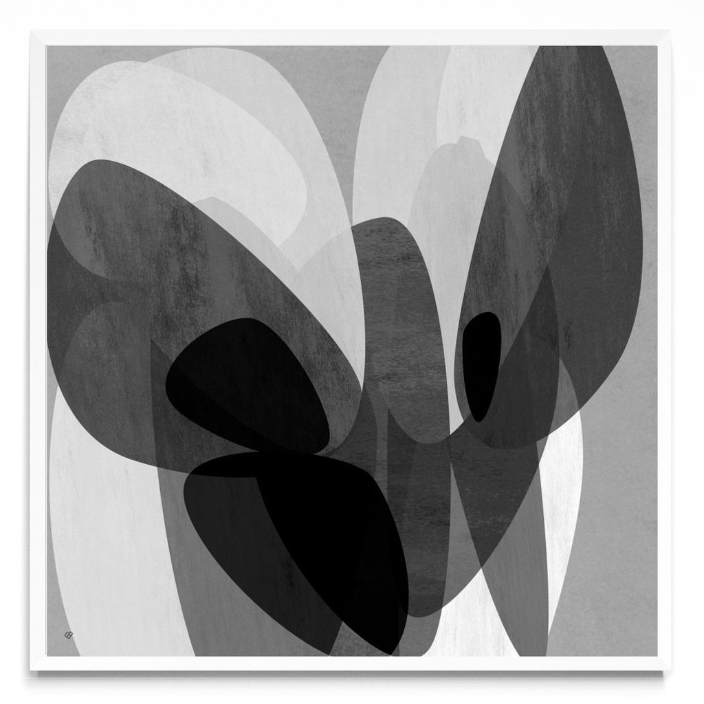 Diaphanous QK 8a - Cuadrado BL