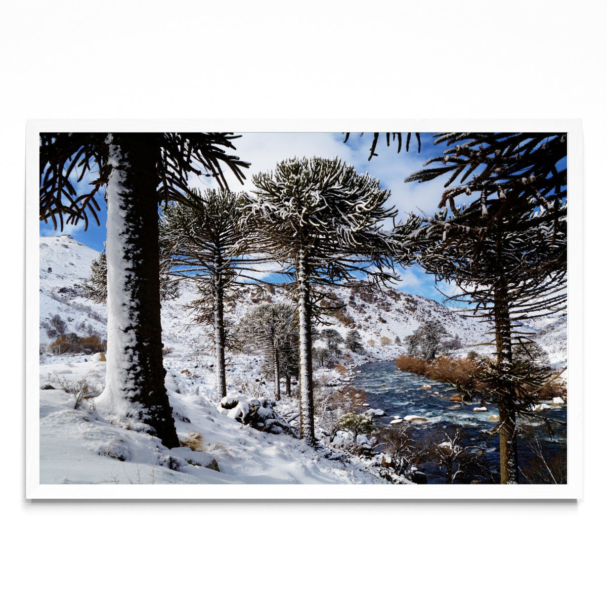 Nieves patagónicas - FotoH BL