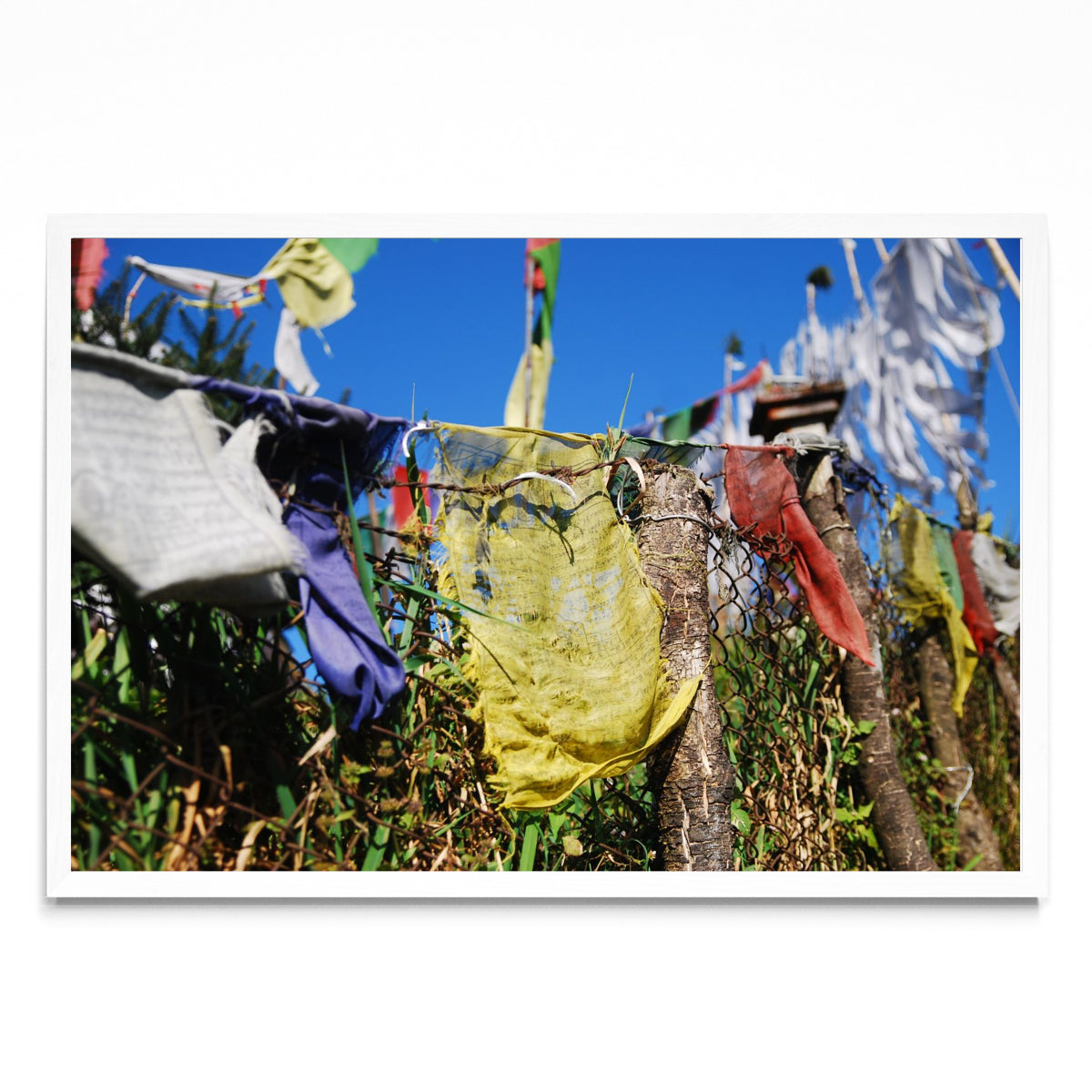 Banderas de rezo tibetanas - FotoH BL