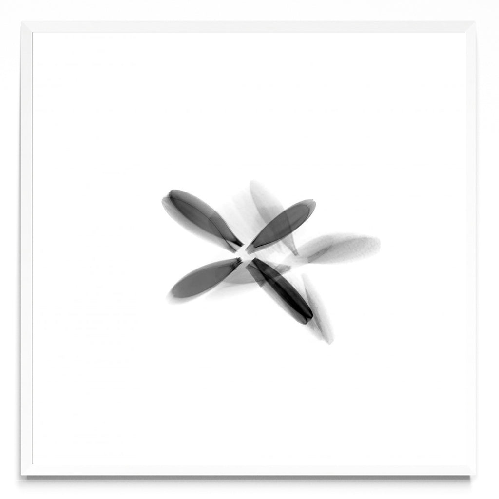 FLOR NEGRA (Serie VICEVERSA) - Cuadrado BL