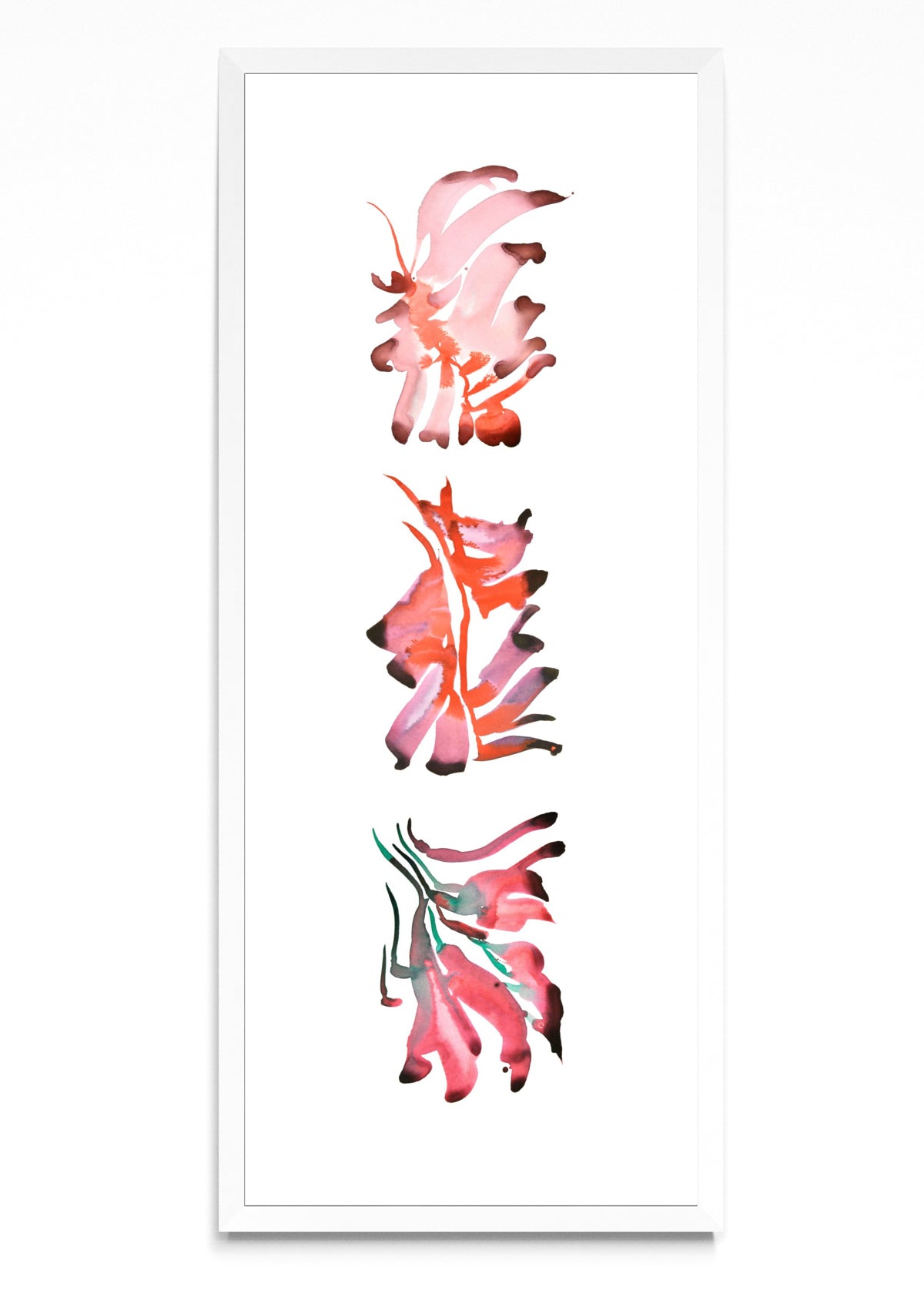 FLORES DE CEIBO 3 - PanoV BL