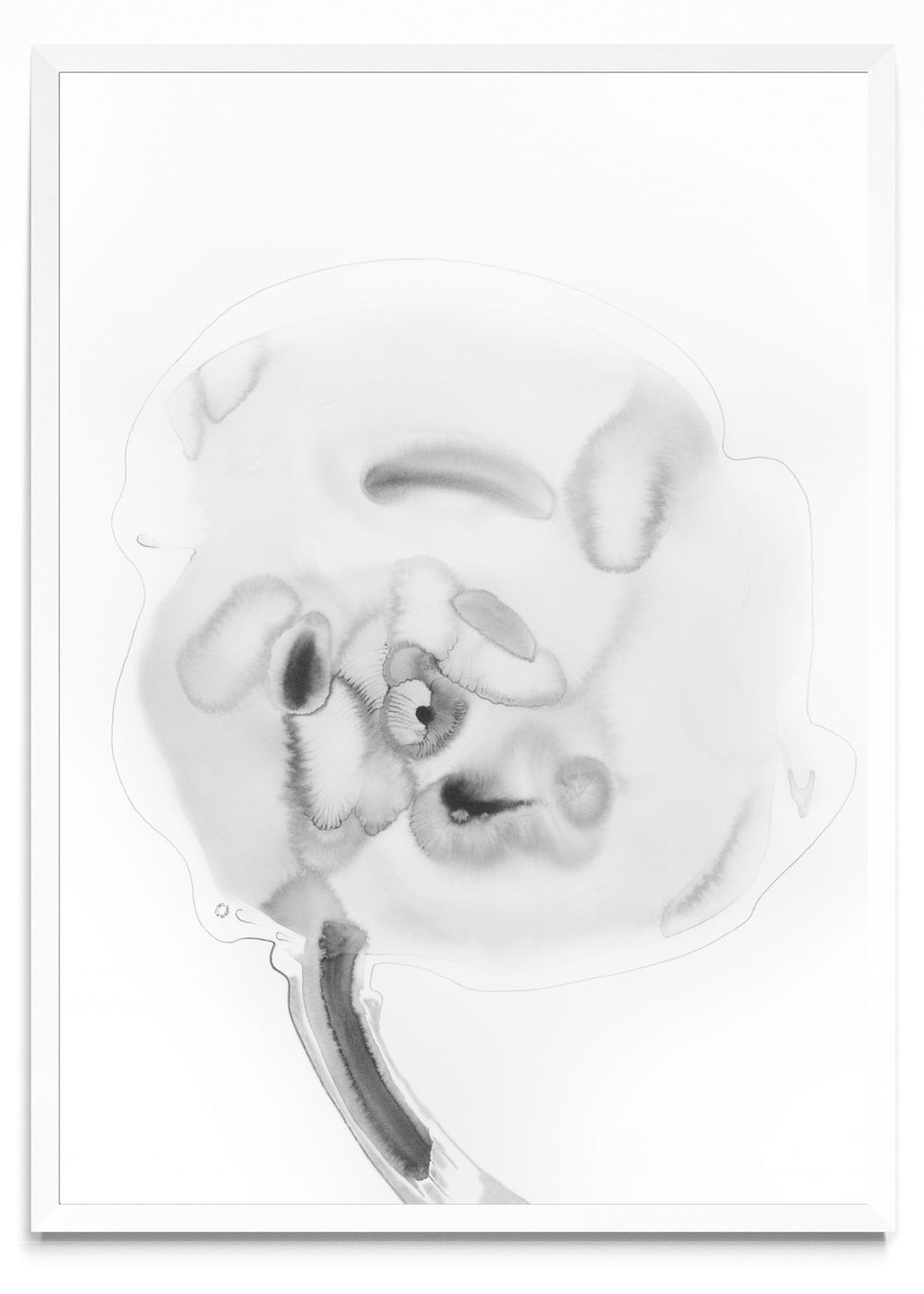 FLOR FANTASMA 1 - Retrato BL