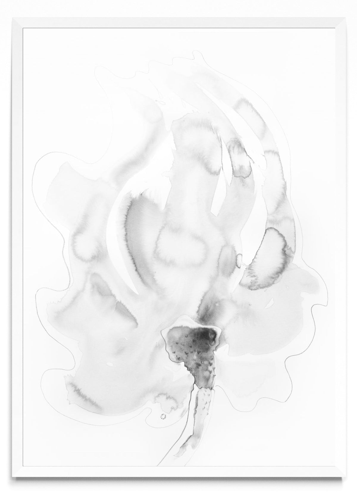 FLOR FANTASMA 2 - Retrato BL