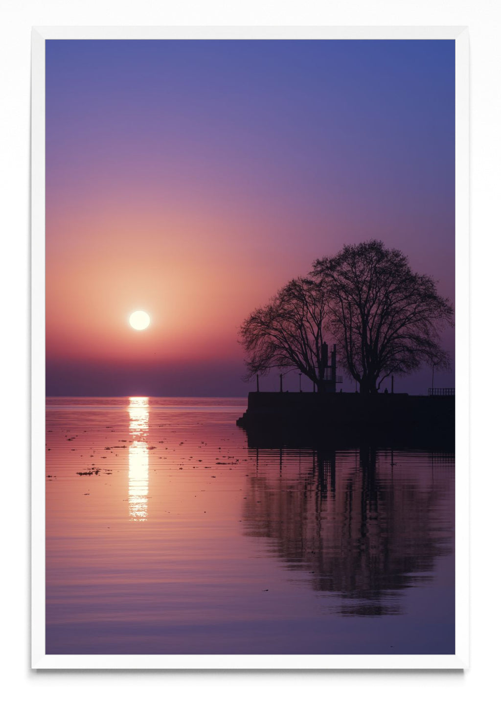 Violet sunrise - FotoV BL