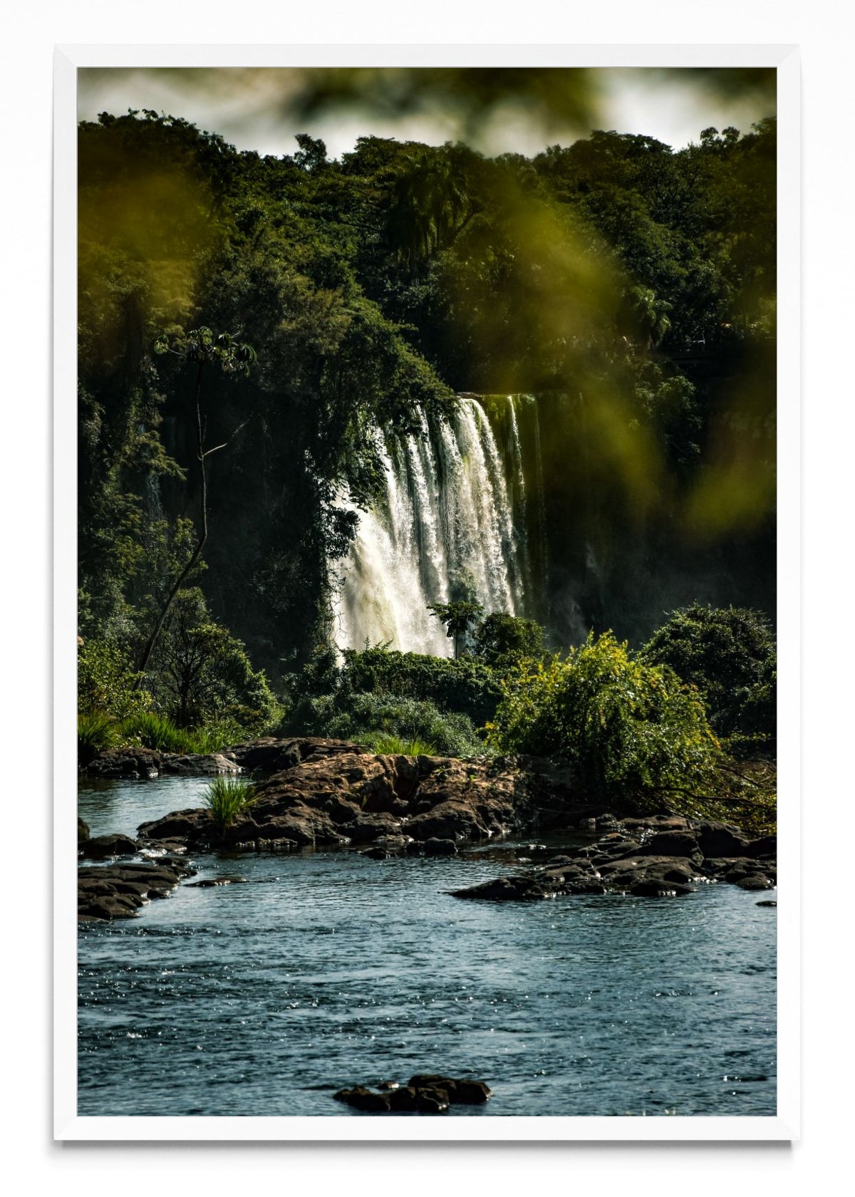 Susurros de la Selva - FotoV BL