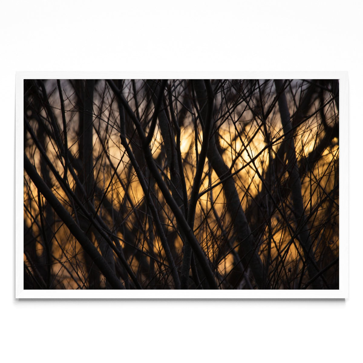 Atardece invierno - FotoH BL
