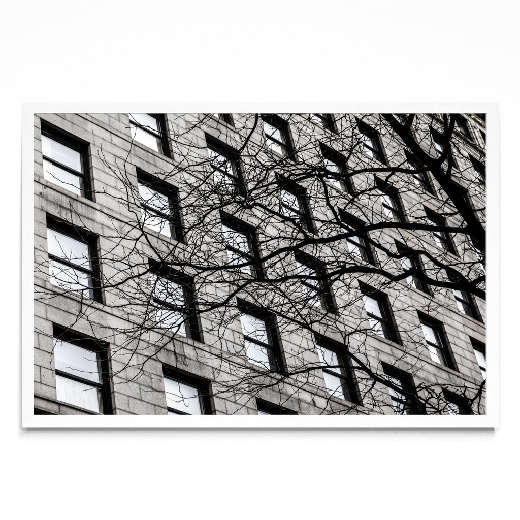 Ventanas de Boston - FotoH BL