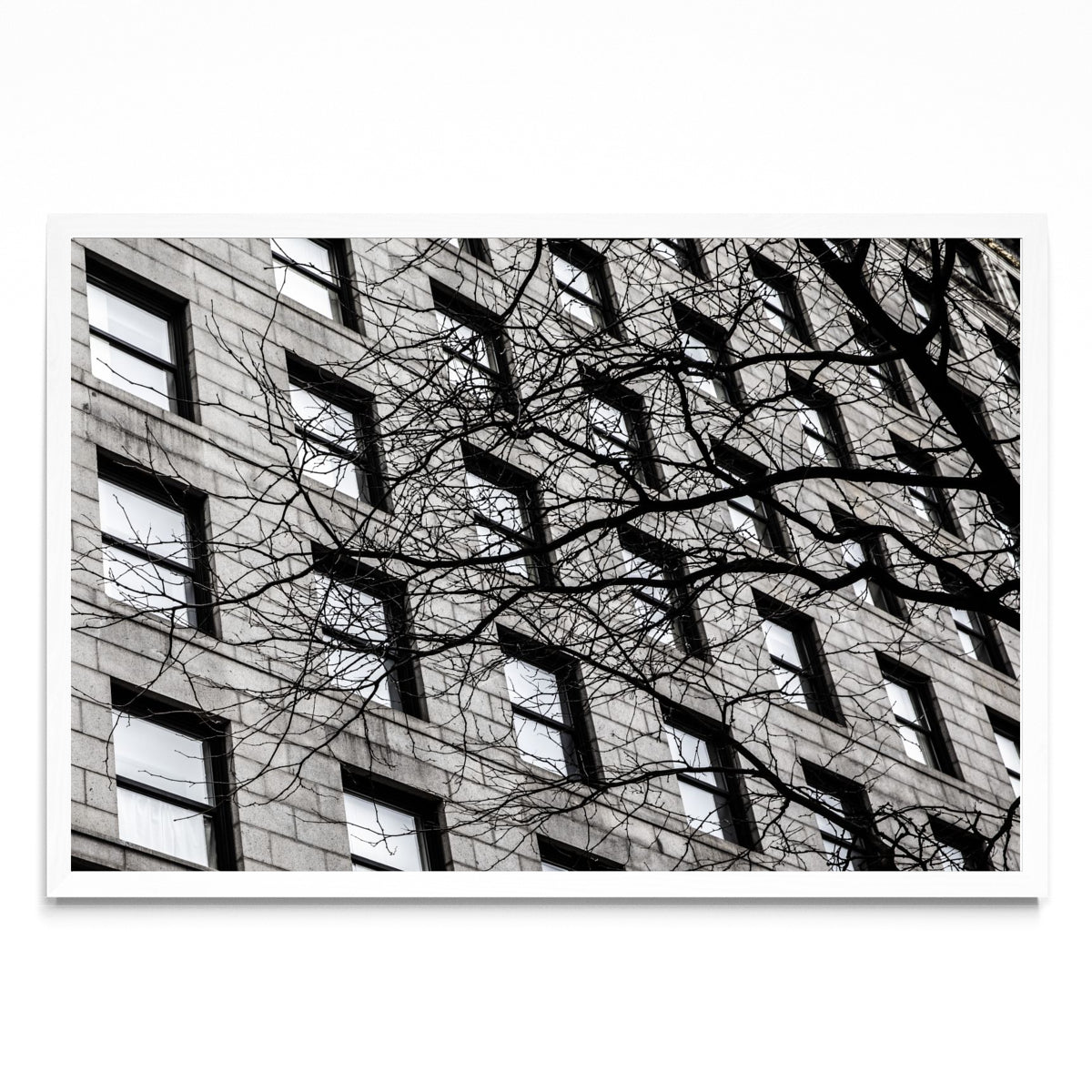 Ventanas de Boston - FotoH BL