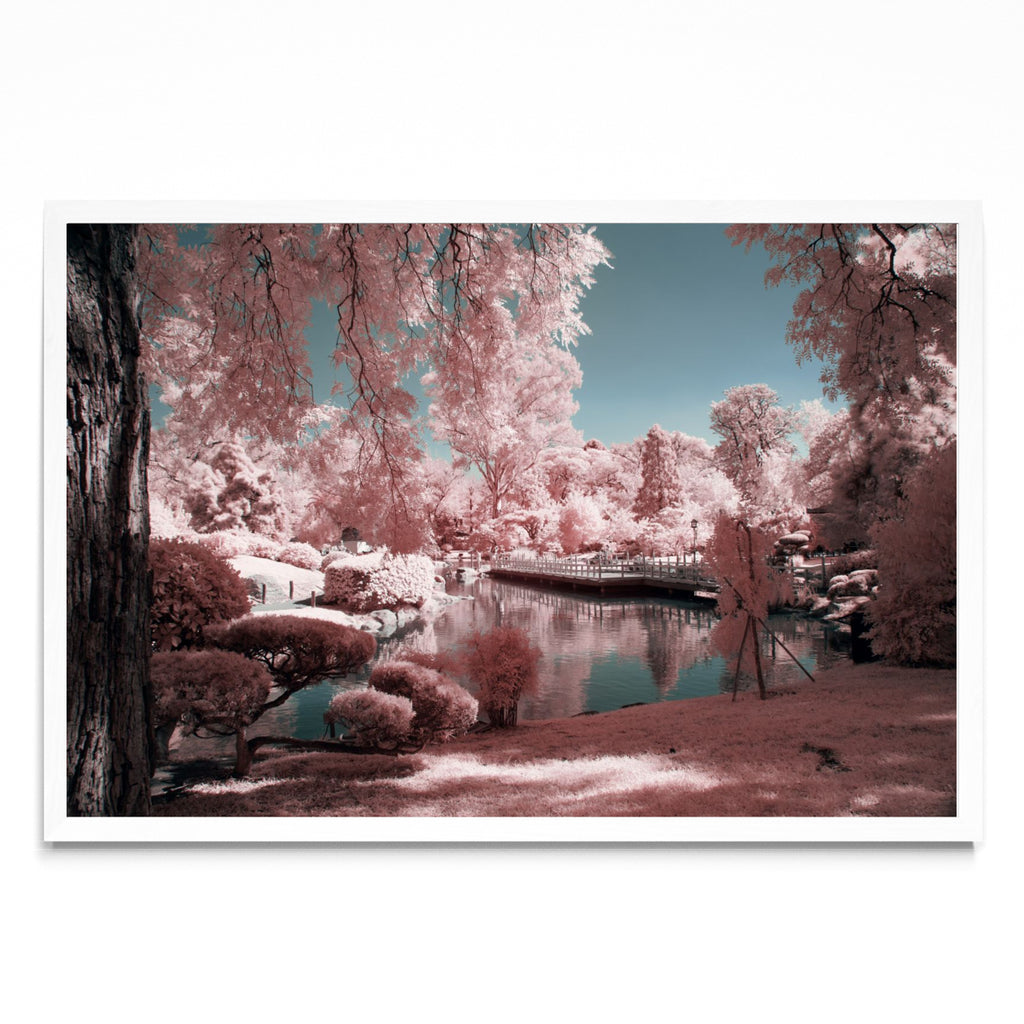 Pink garden - FotoH BL