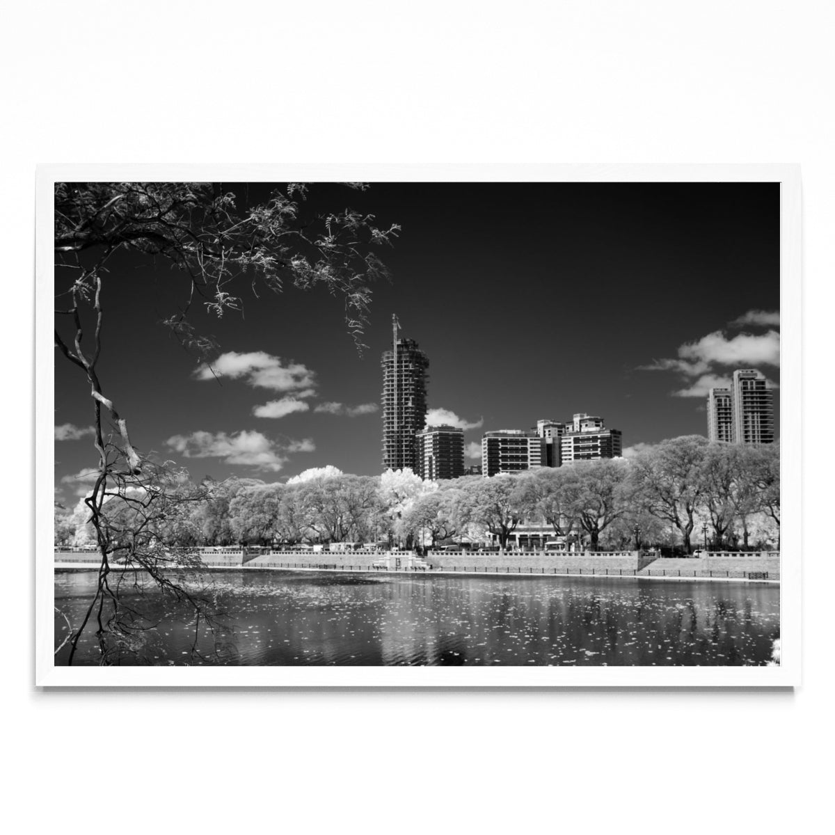 Reserva ecológica Costanera Sur - FotoH BL
