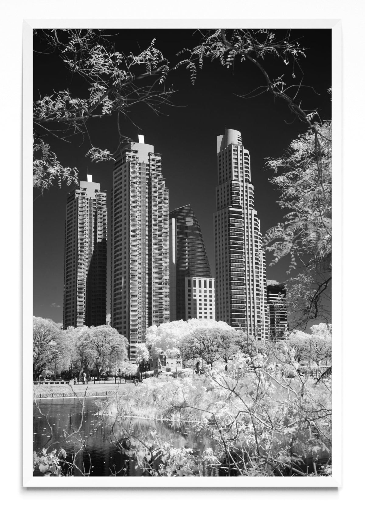 Entre la naturaleza - FotoV BL