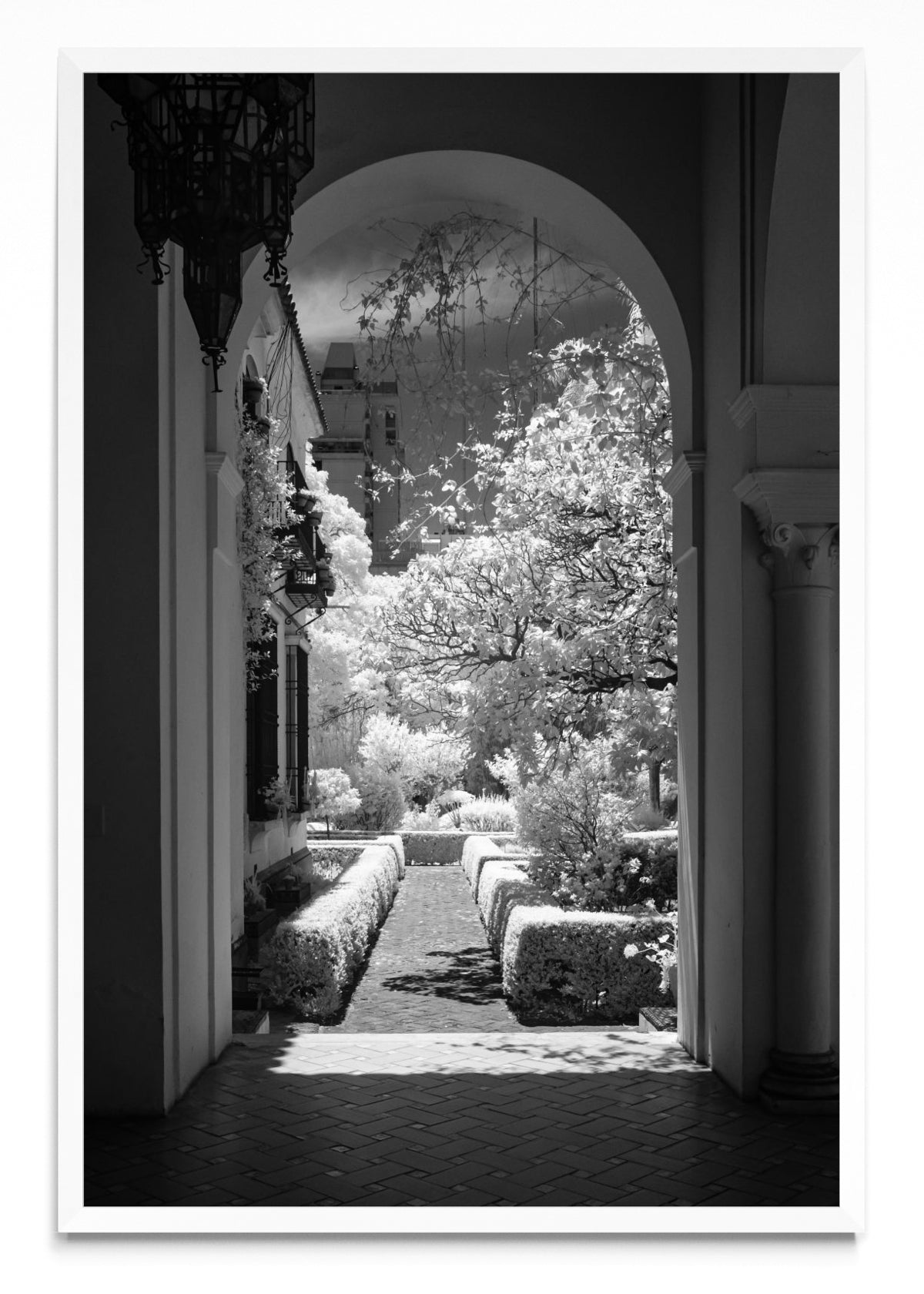 Garden - FotoV BL