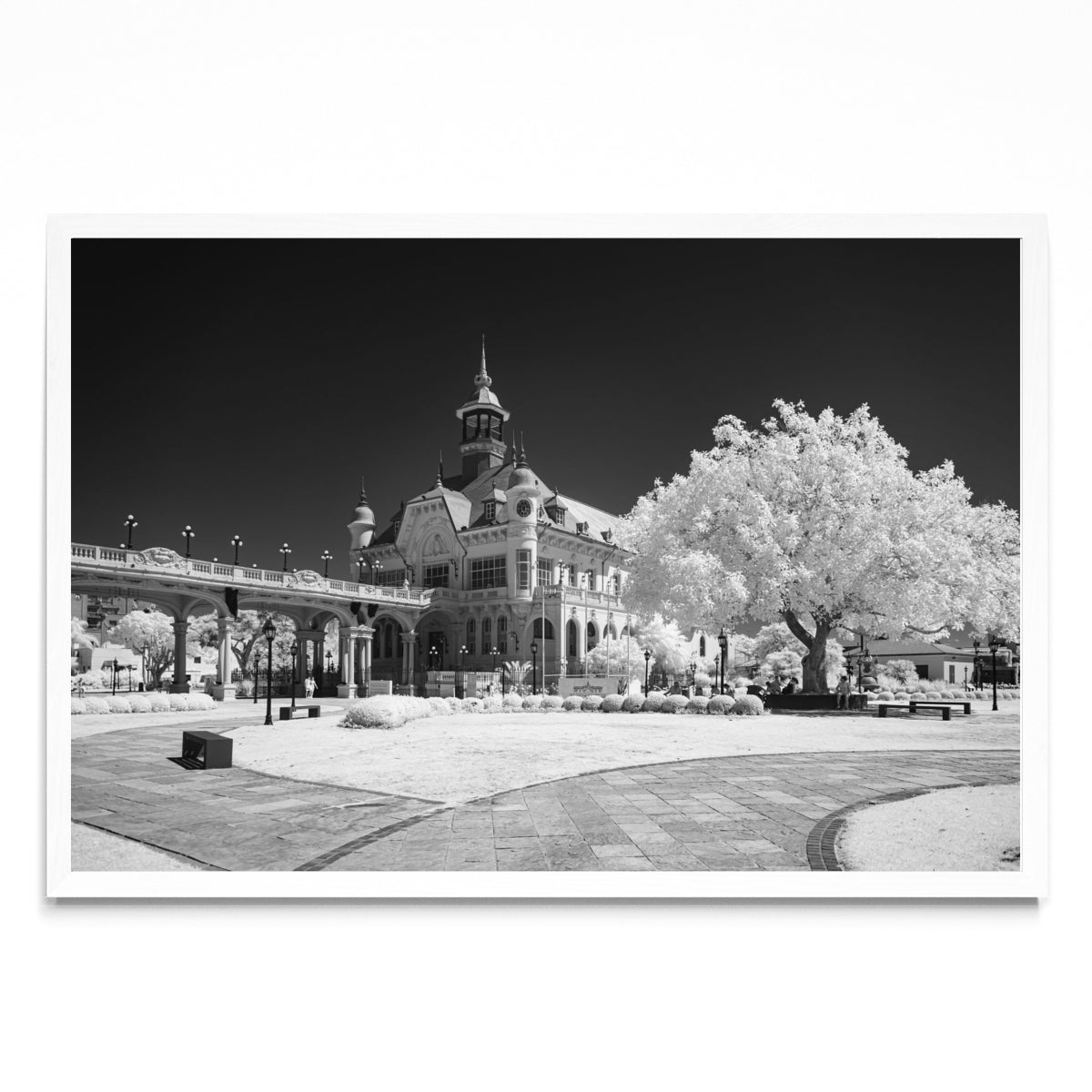 Museo de Arte Tigre - FotoH BL