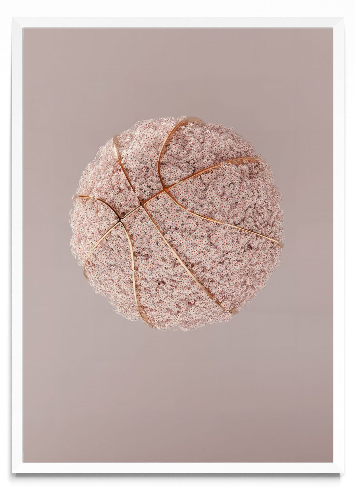 Flowerball - Retrato BL