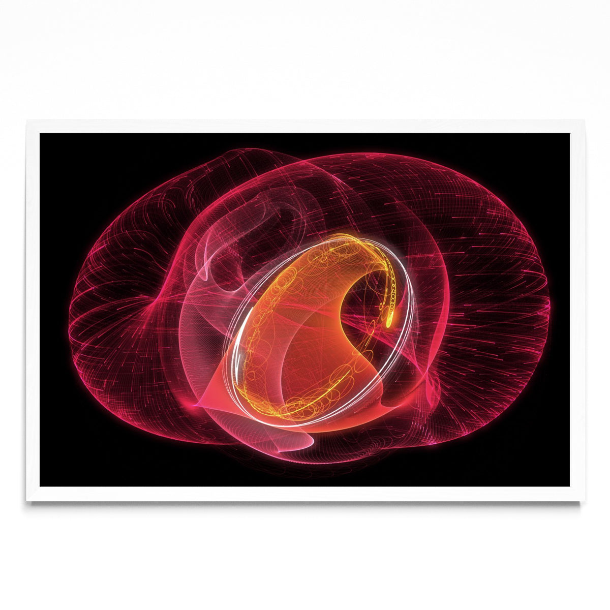 Cerebro - FotoH BL