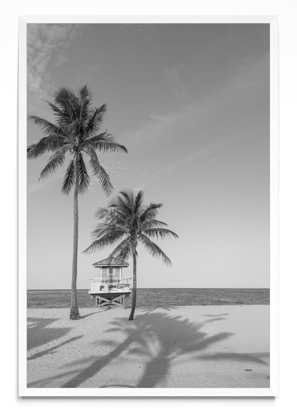 M2 - FotoV BL