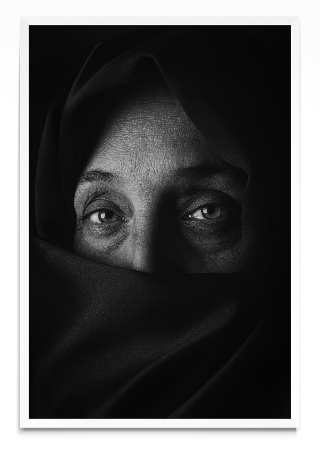 Resiliencia - FotoV BL