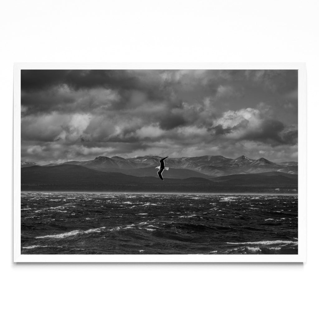 Libertad - FotoH BL