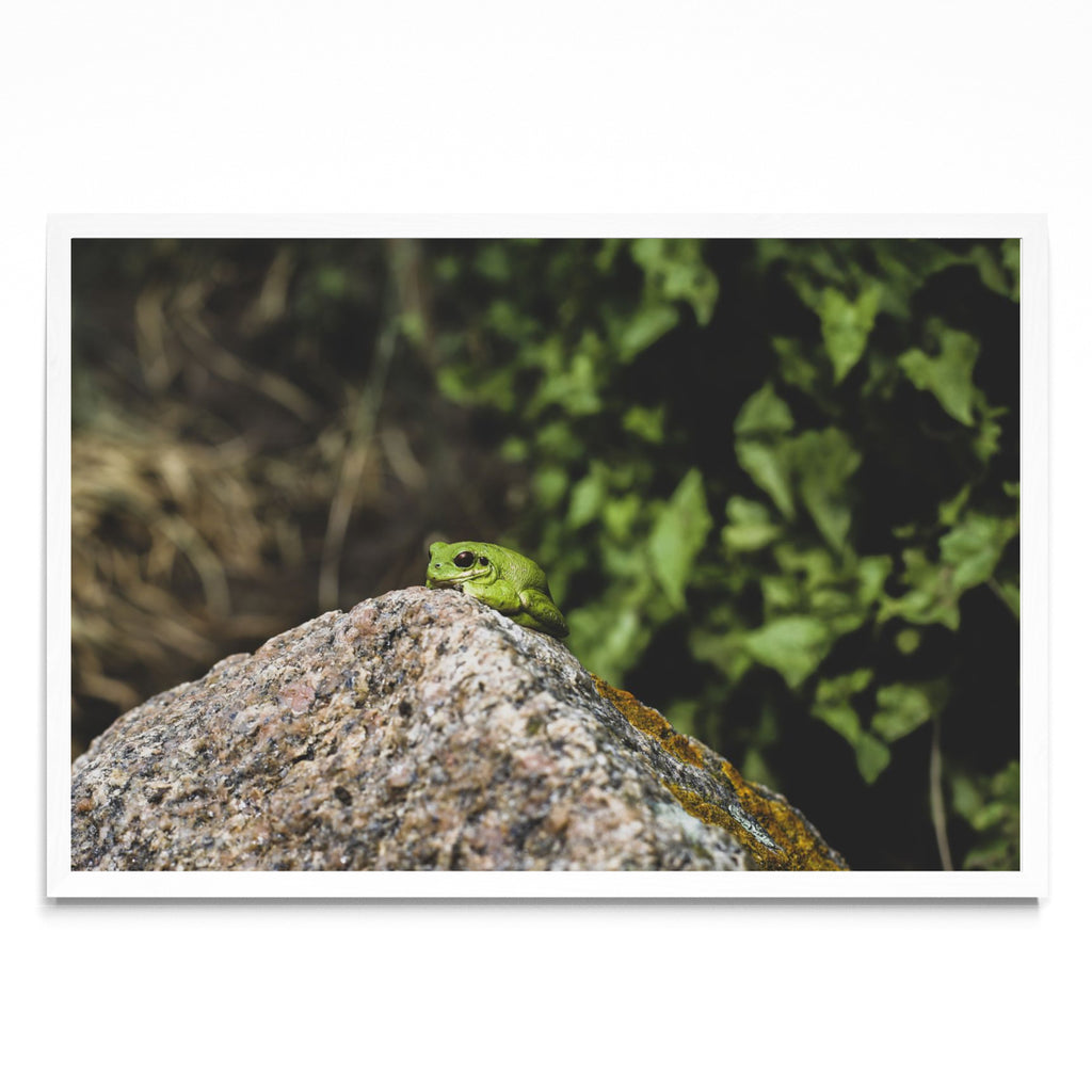 La siesta - FotoH BL