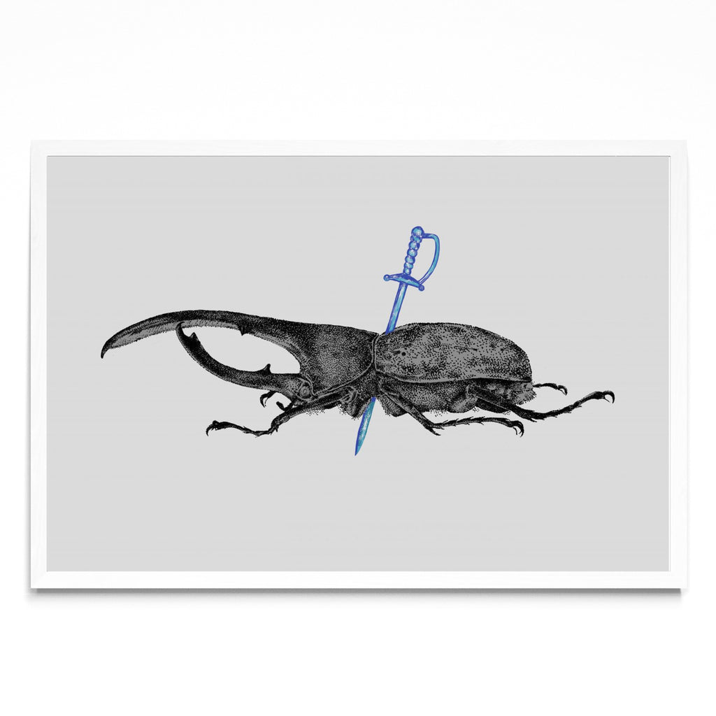 Dynastes Hercules - FotoH BL
