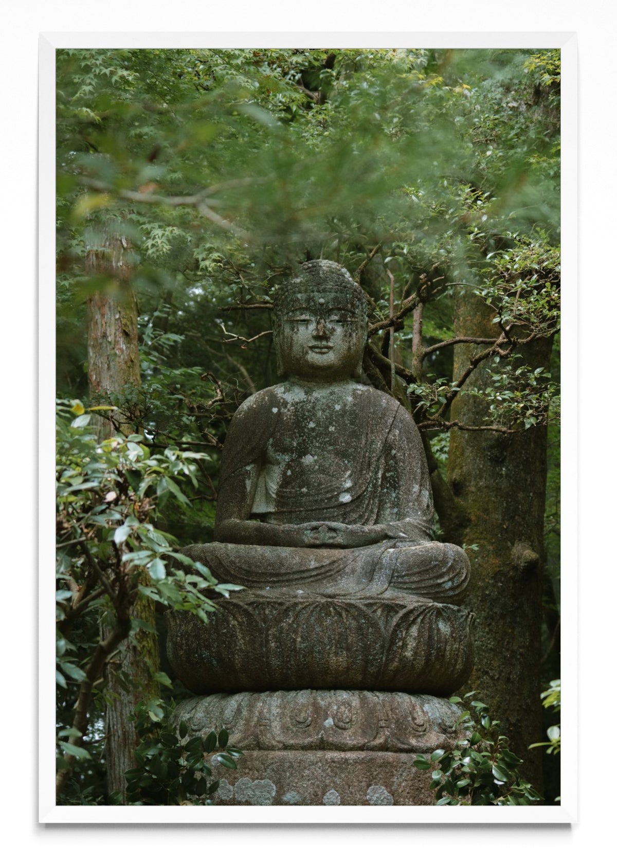 Kyoto Buda - FotoV BL