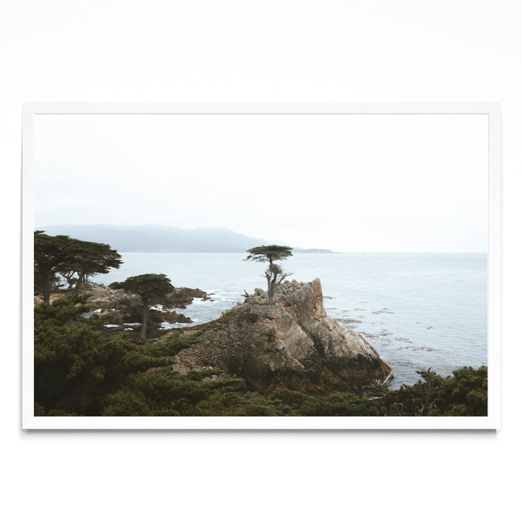 Lonely Cypress - FotoH BL