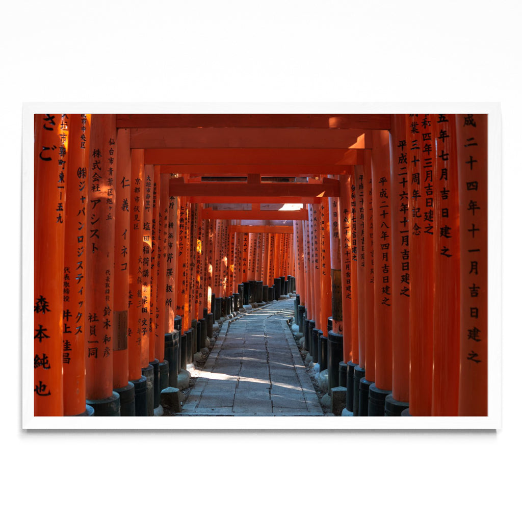 Orange Toris - FotoH BL