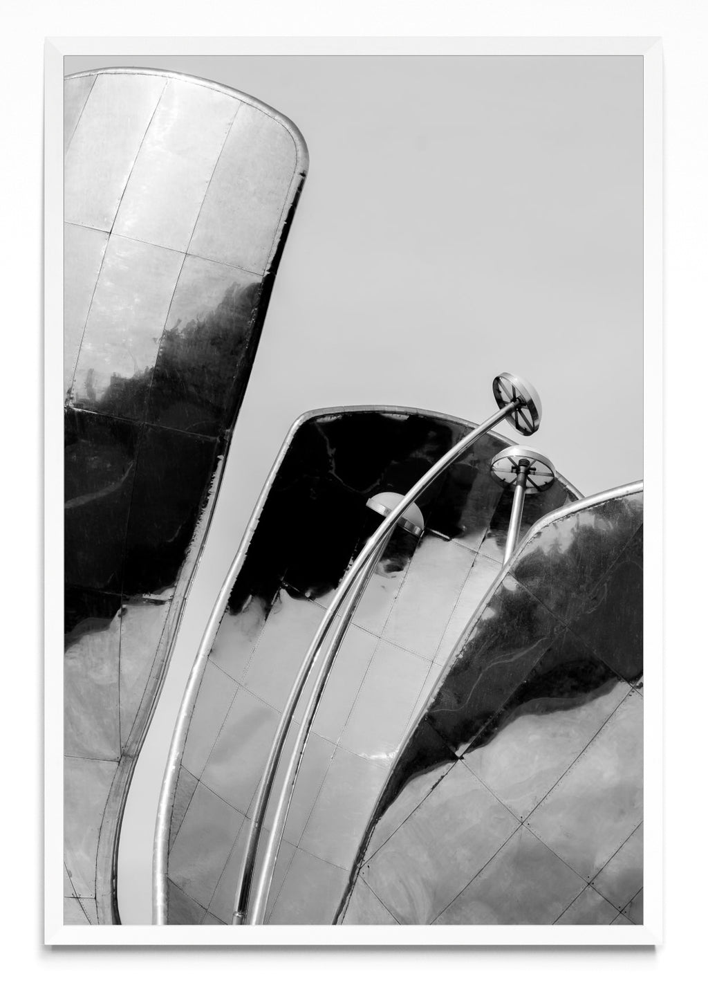 La Flor - FotoV BL