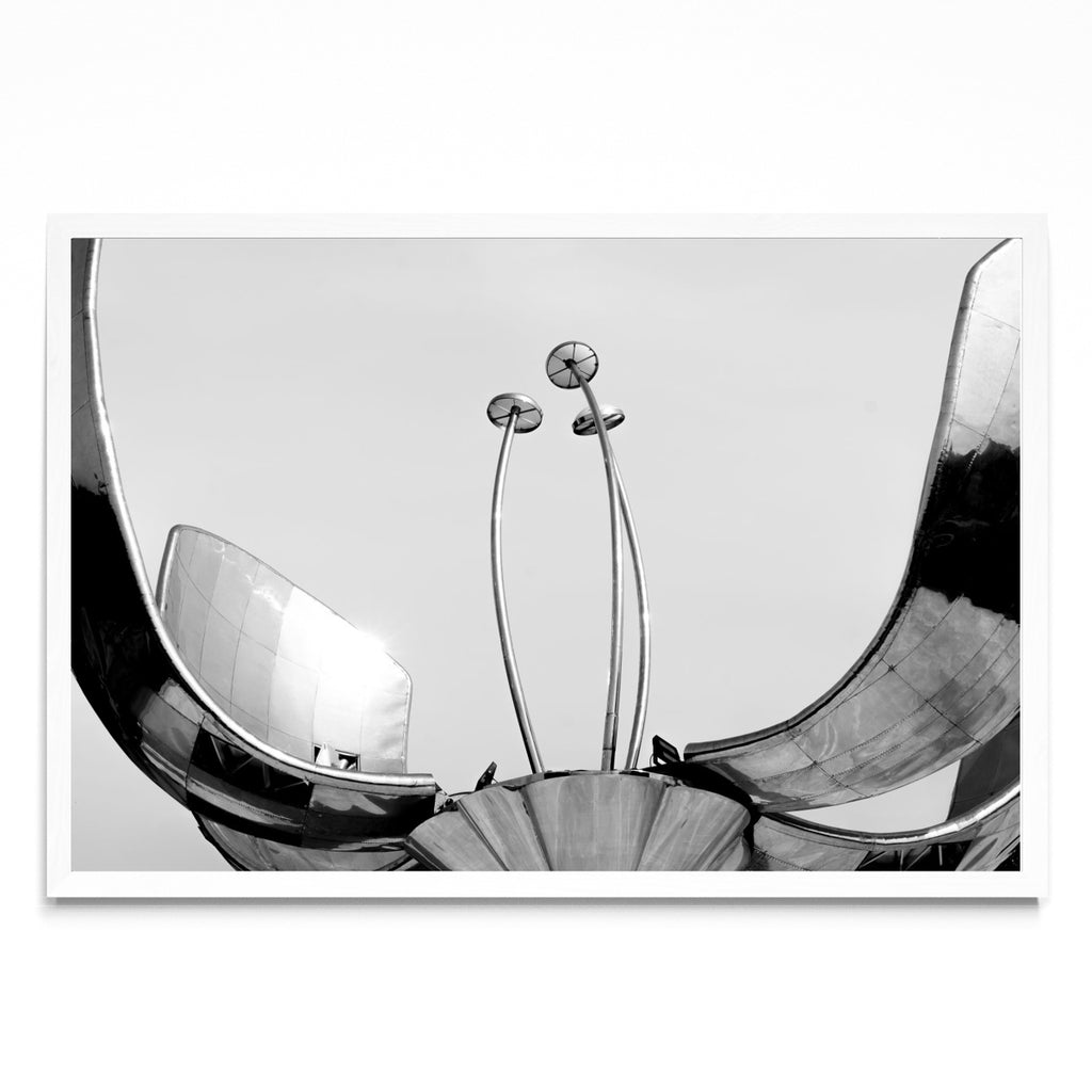 Floralis Generica - FotoH BL