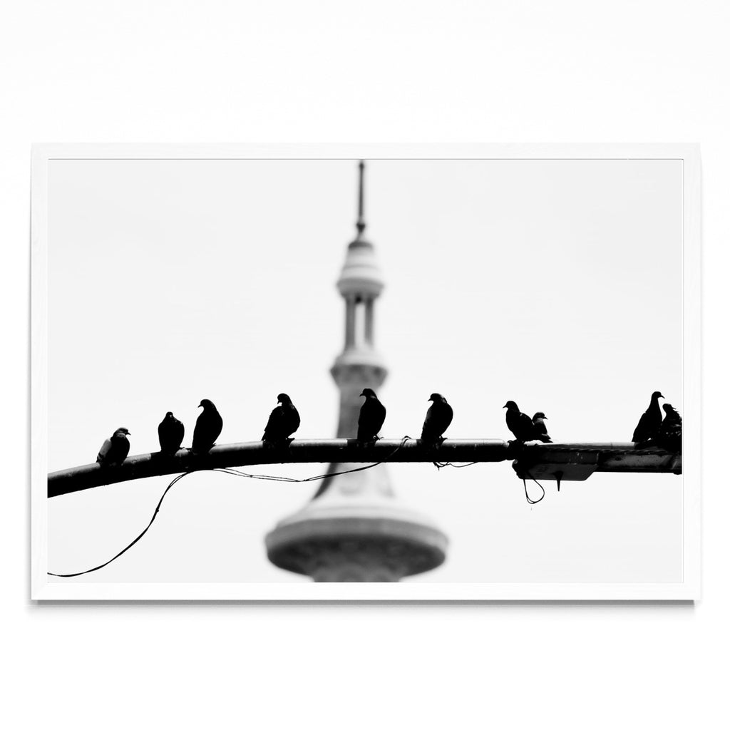 Stay - FotoH BL