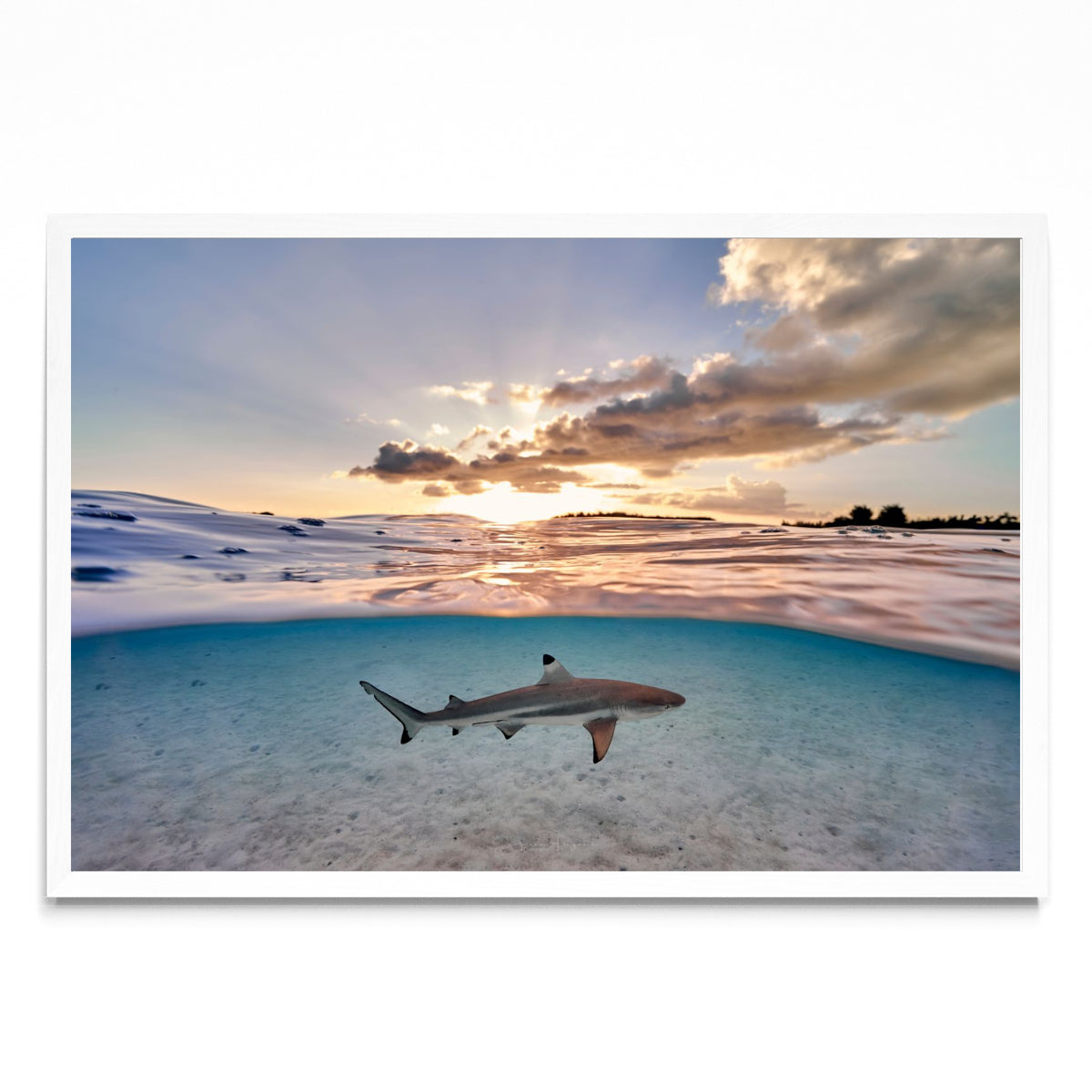 Wild sunset - FotoH BL