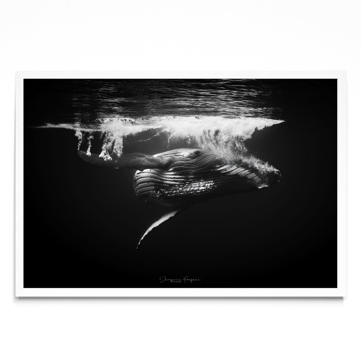 B&W - FotoH BL