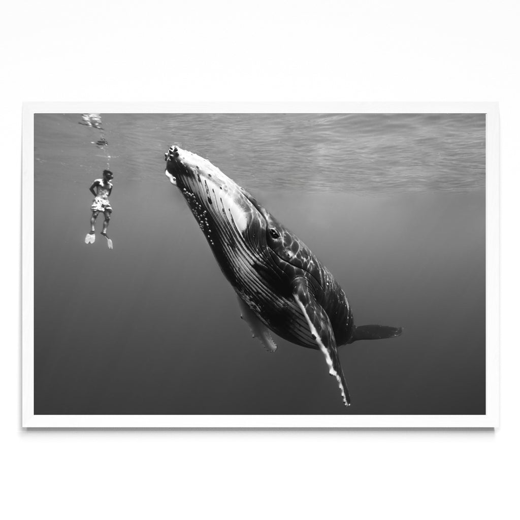 Conexión - FotoH BL
