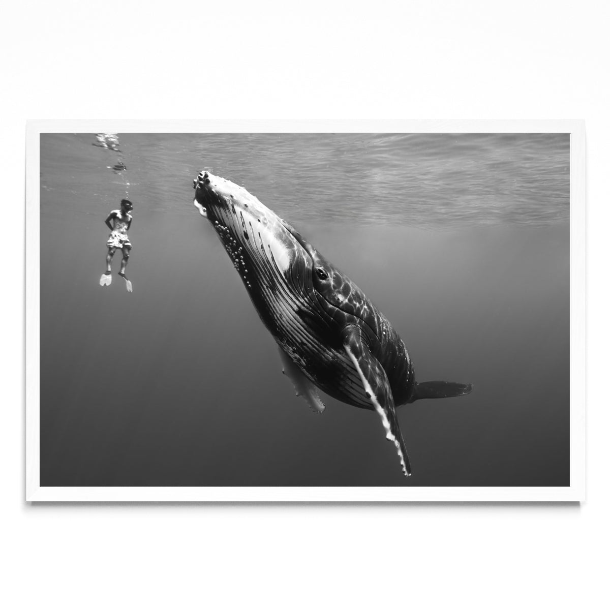 Conexión - FotoH BL