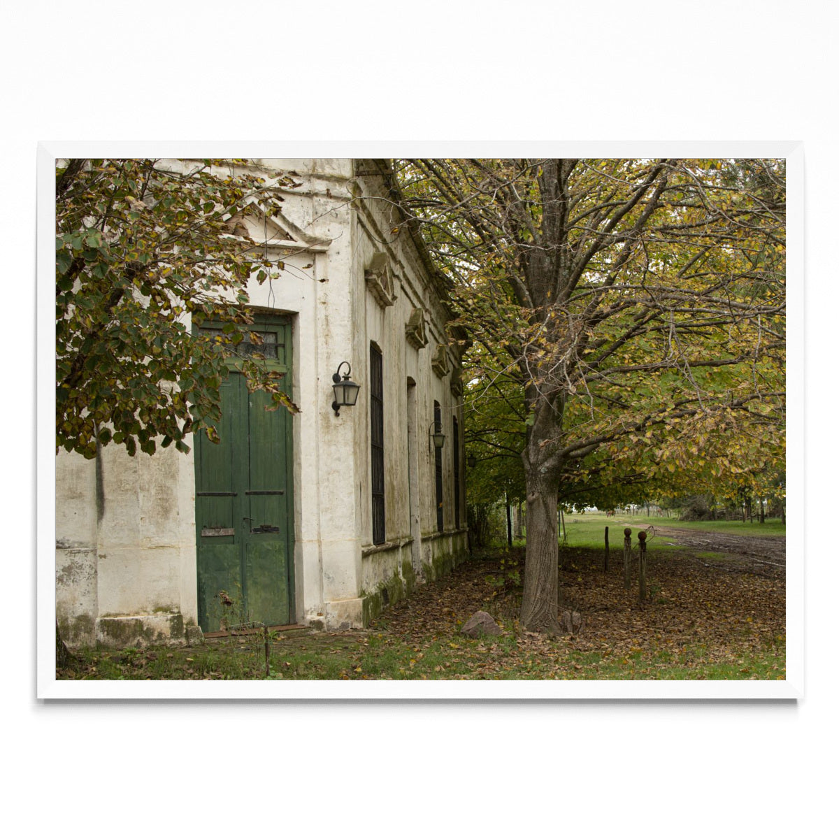 Otoño en Guoin - Paisaje BL