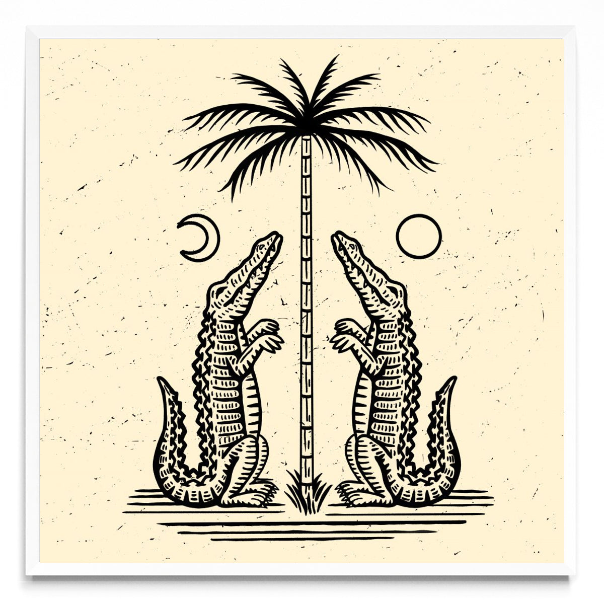 Cocos - Cuadrado BL