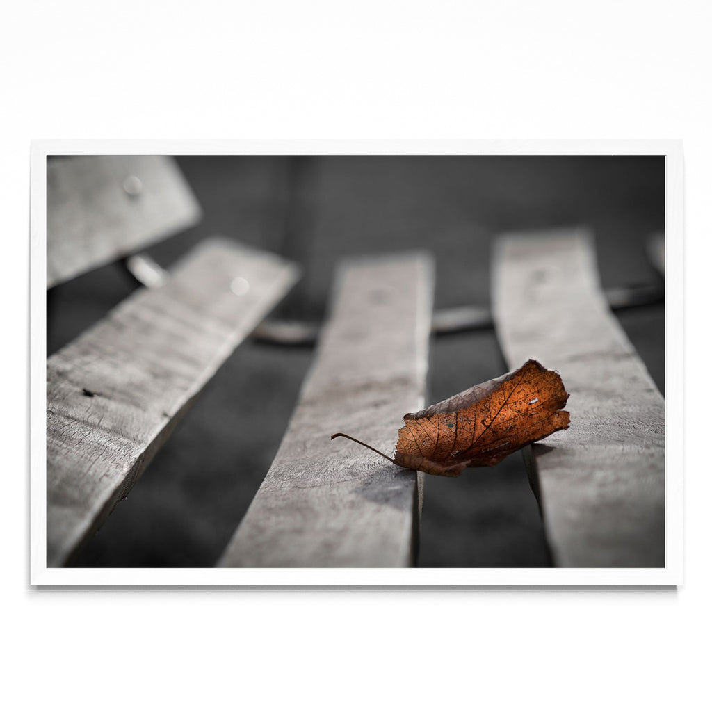 Ultima hoja de otoño - FotoH BL