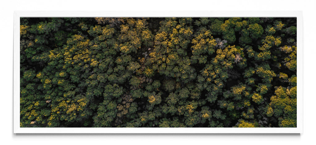 Foco - Pano H BL